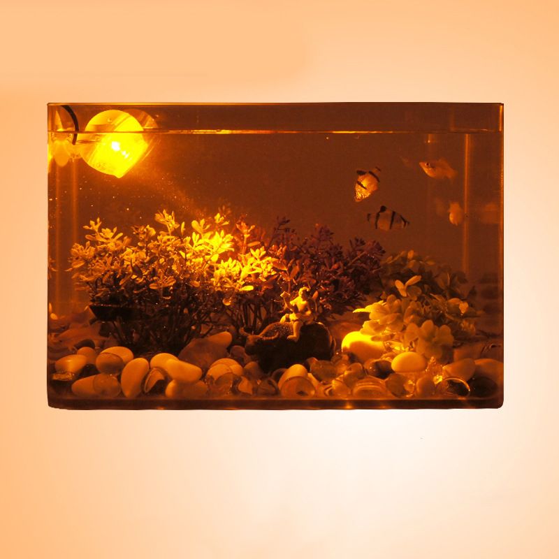 Yellow Light